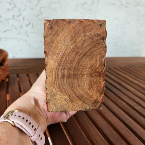 Vintage Hand-Carved Teak Elephant Bookends Pair – 10" Tall Wooden Decor Jungle - Picture 11 of 12